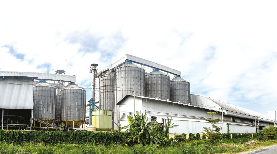 ความเป็นมา นานาพรรณ กรุ๊ป